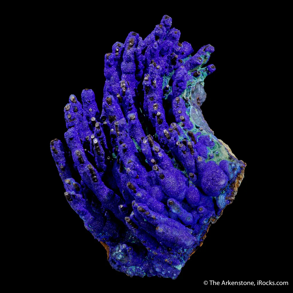Azurite on Goethite stalactites with Malachite image