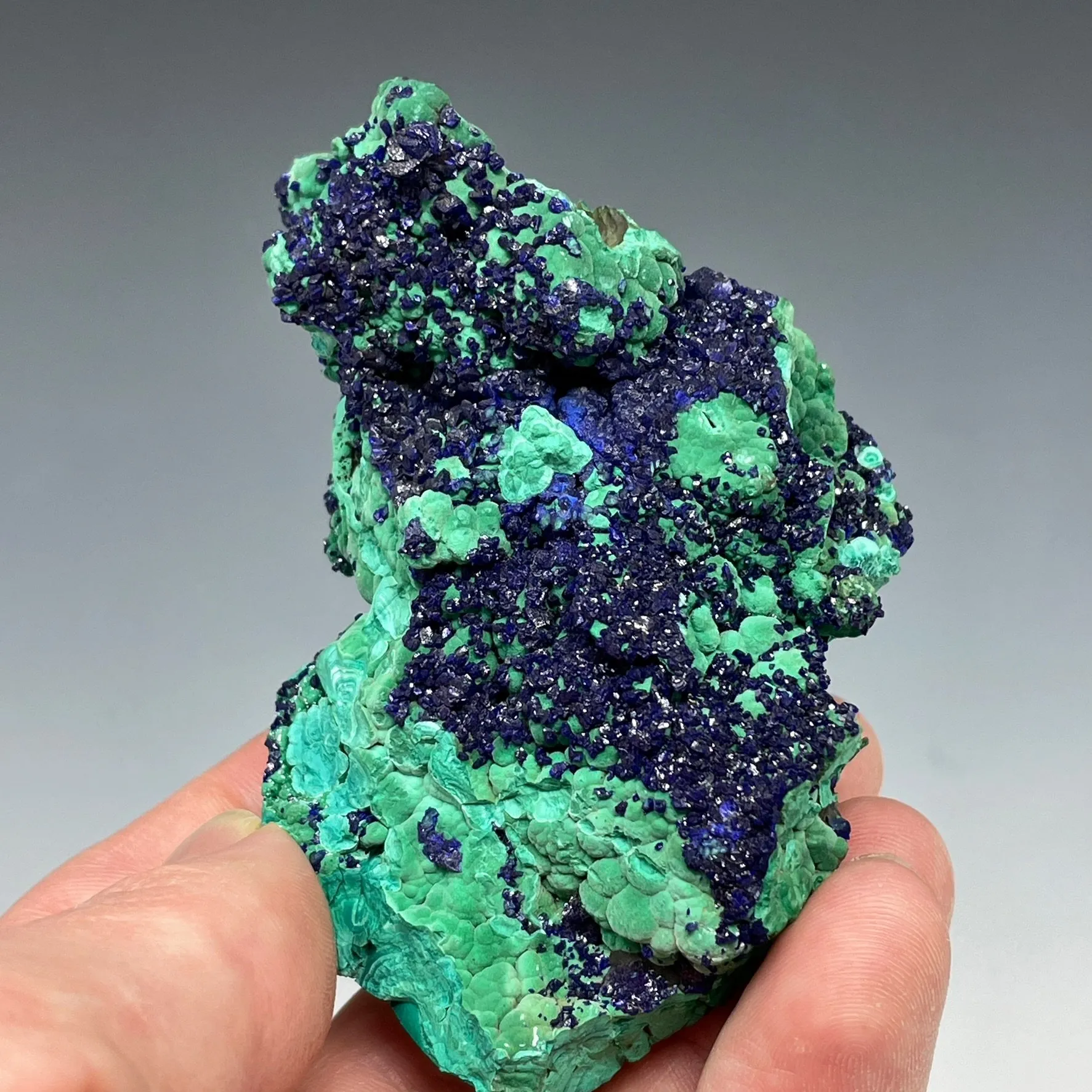 Azurite on Malachite - image 1