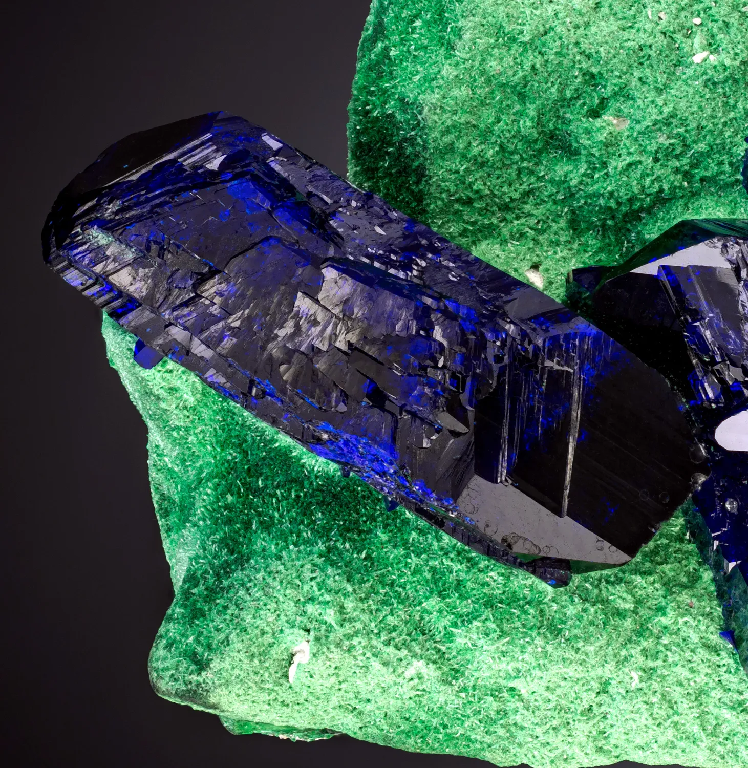 Azurite on Malachite - image 4