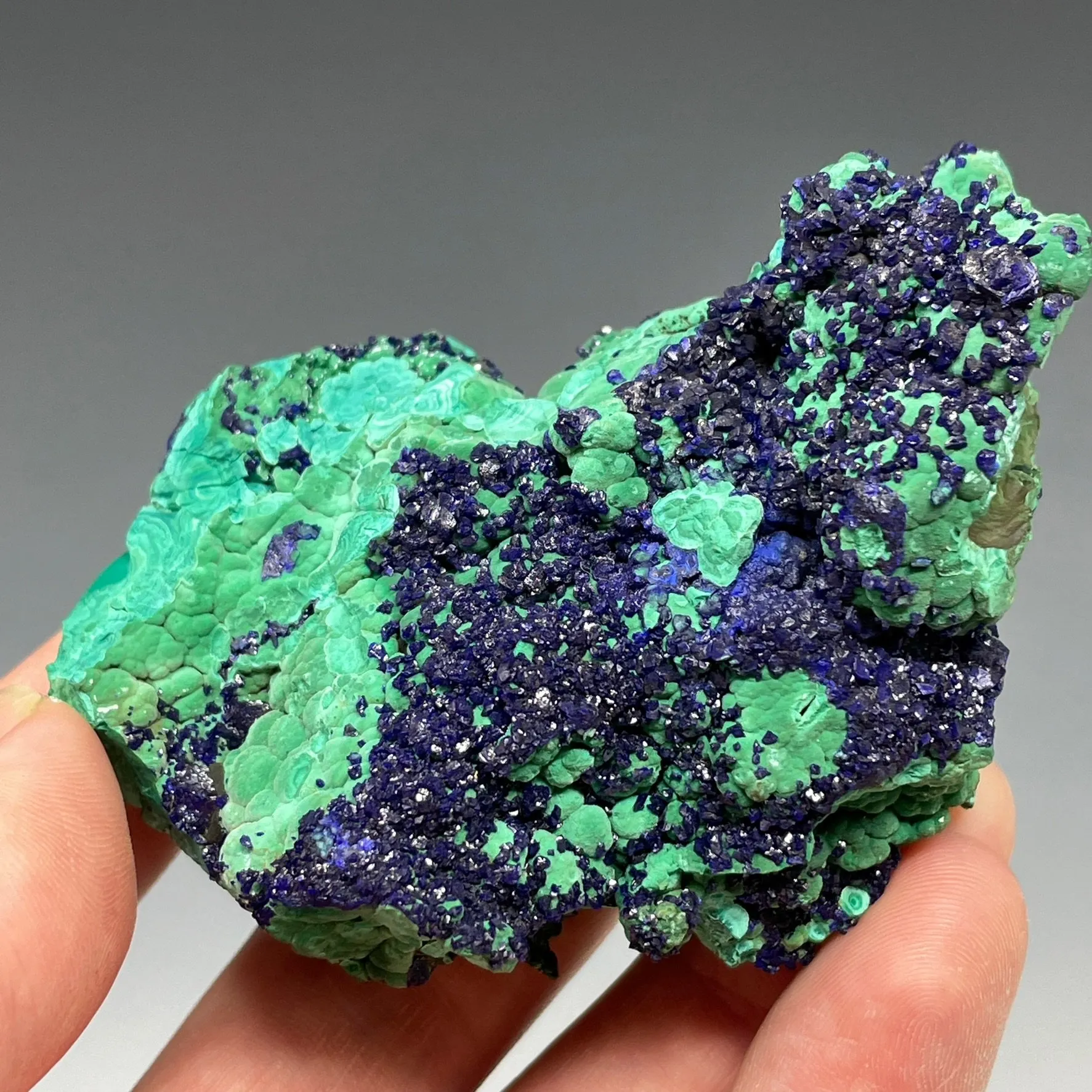 Azurite on Malachite - image 2