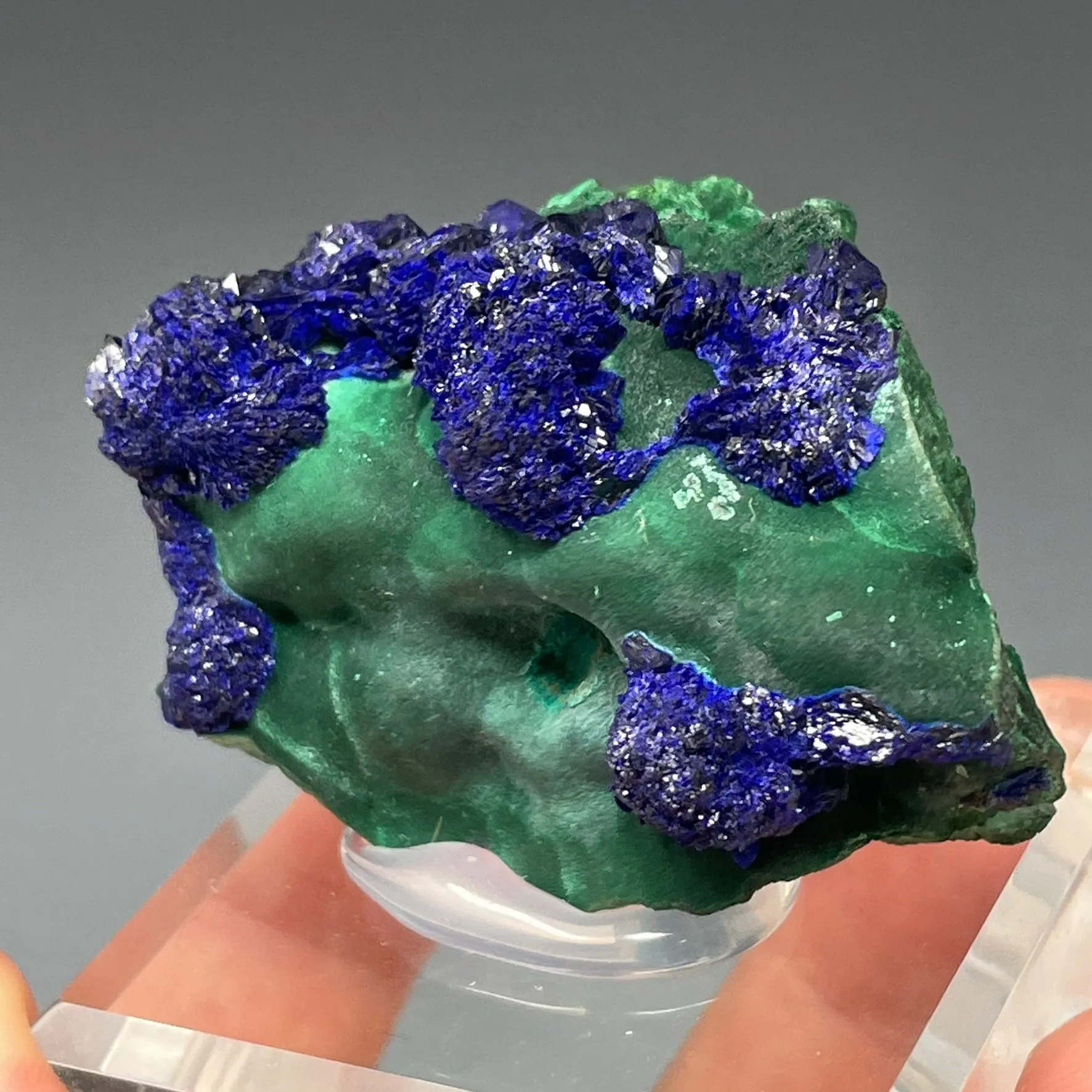 Azurite on Malachite - image 2