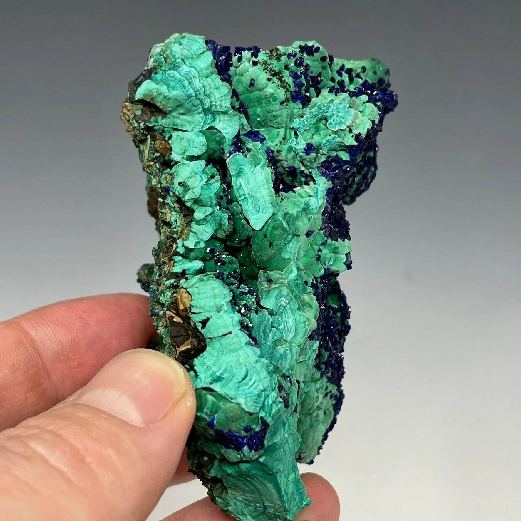Azurite on Malachite - image 5