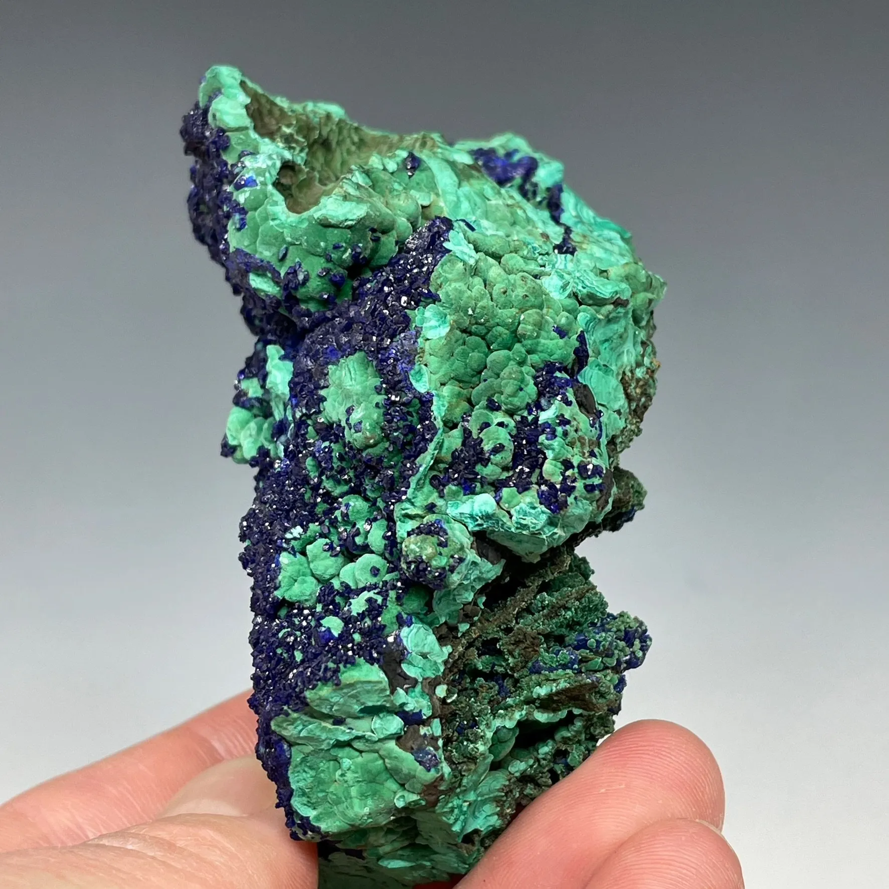 Azurite on Malachite - image 4