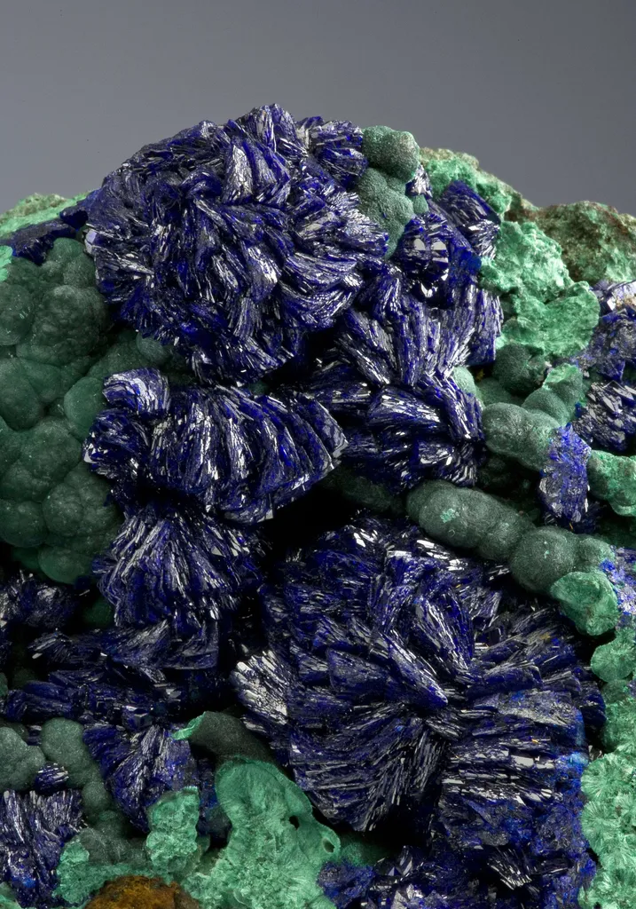 Azurite on Malachite (Circa 1900) - image 3