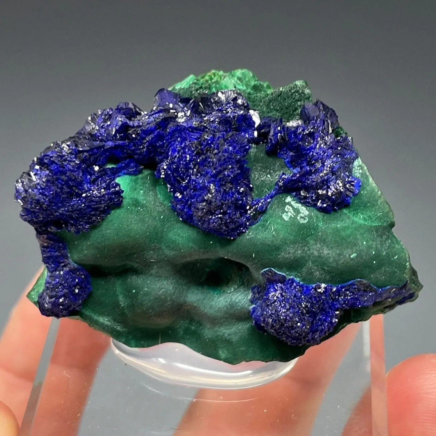 Azurite on Malachite - image 1