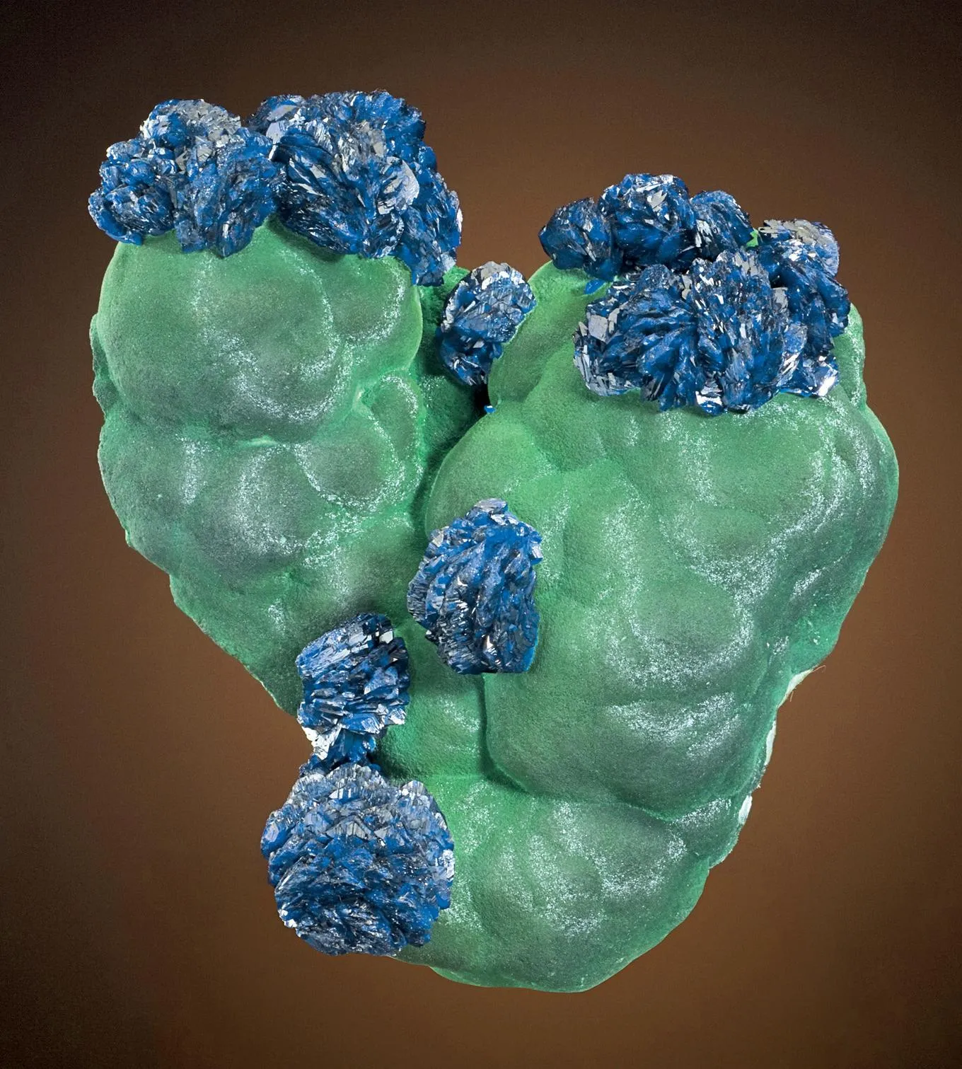 Azurite on Malachite - image 2