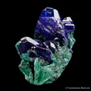 Azurite on Malachite ps. Azurite - image 1