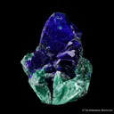Azurite on Malachite ps. Azurite - image 4