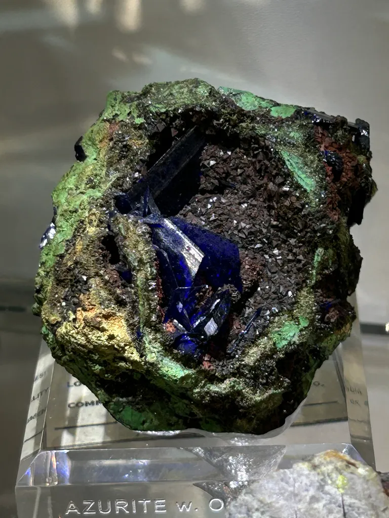 Azurite on Olivenite w/Bayldonite  from Namibia, Oshikoto Region, Tsumeb - image 2