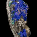 Azurite on Shale - image 7
