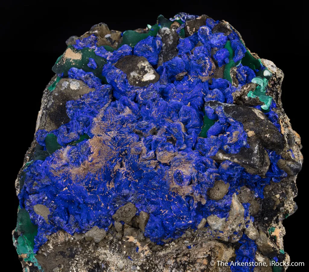 Azurite on Shale - image 3