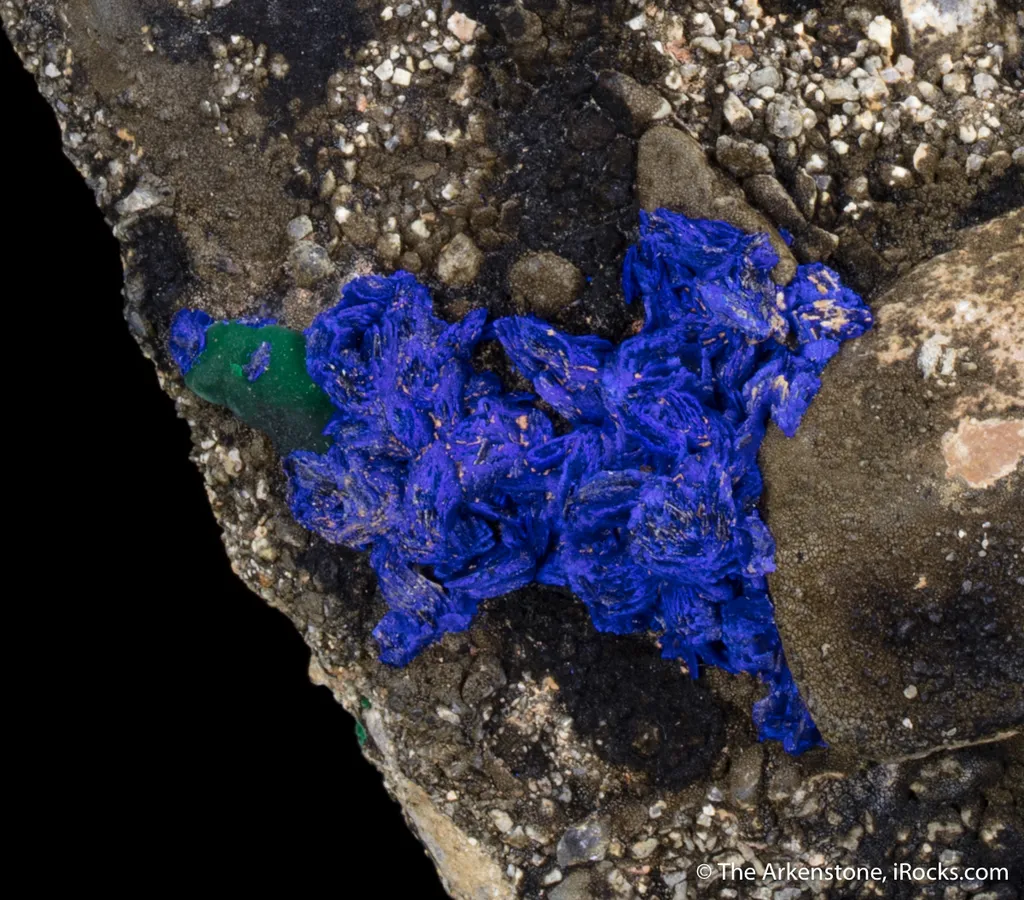 Azurite on Shale - image 4