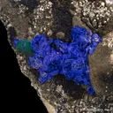 Azurite on Shale - image 4