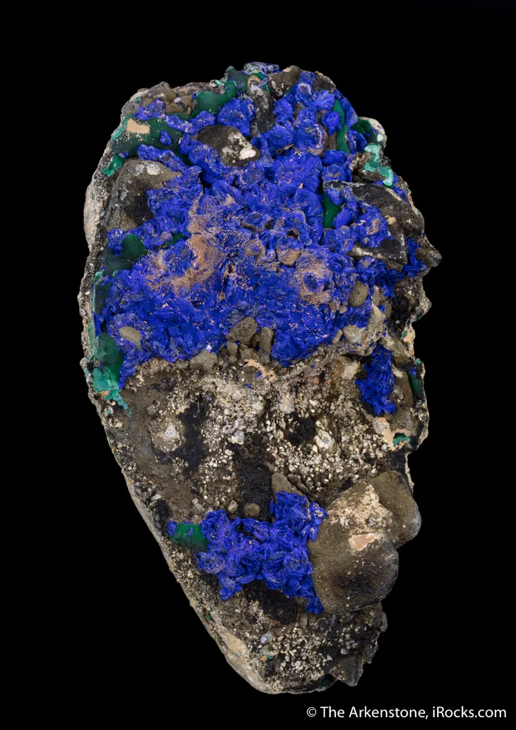 Azurite on Shale - image 6