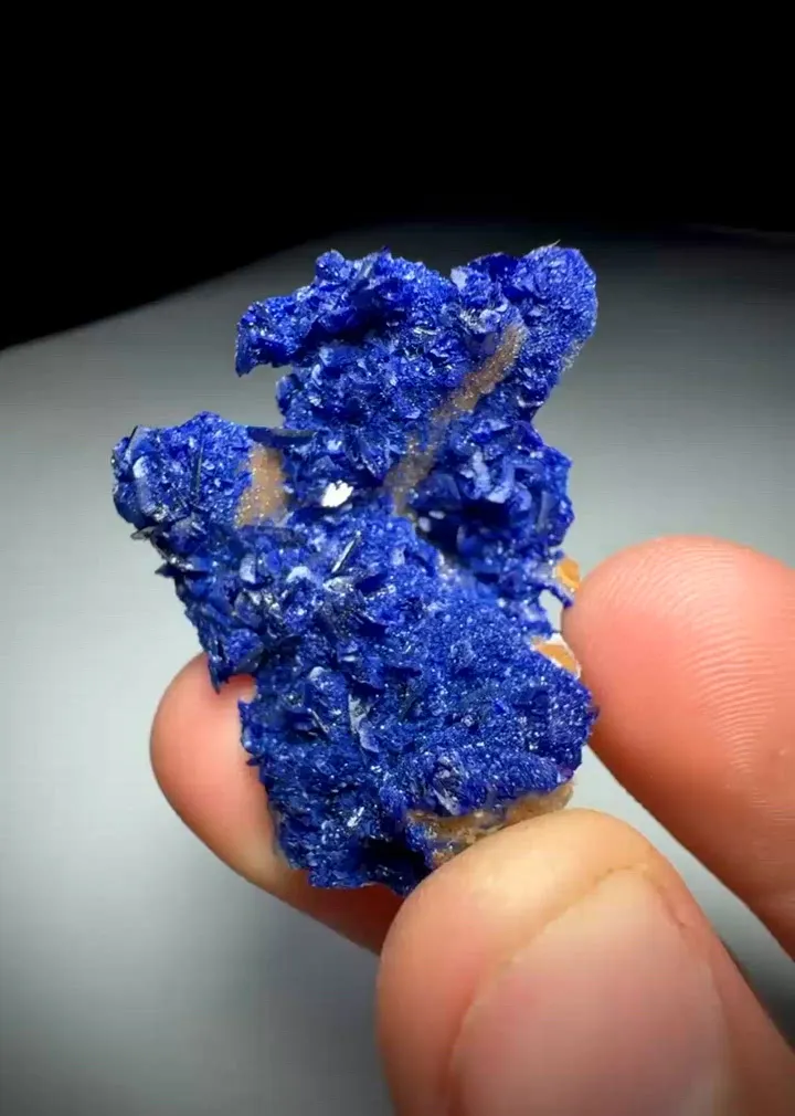 specimen video