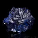 Azurite Rose (circa 1900) - image 3