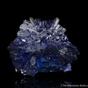 Azurite Rose (circa 1900) - image 2