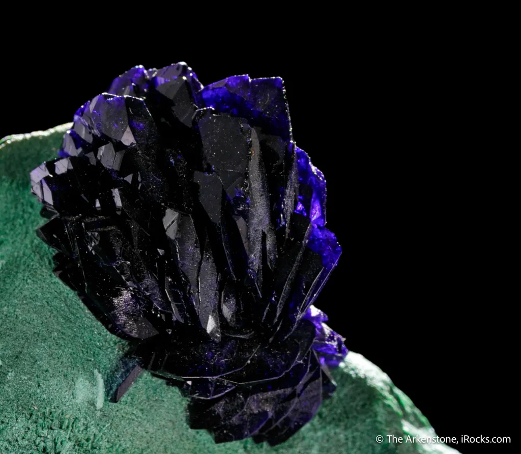 Azurite "rose" on Malachite - image 5