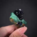 Azurite "rose" on Malachite - image 2