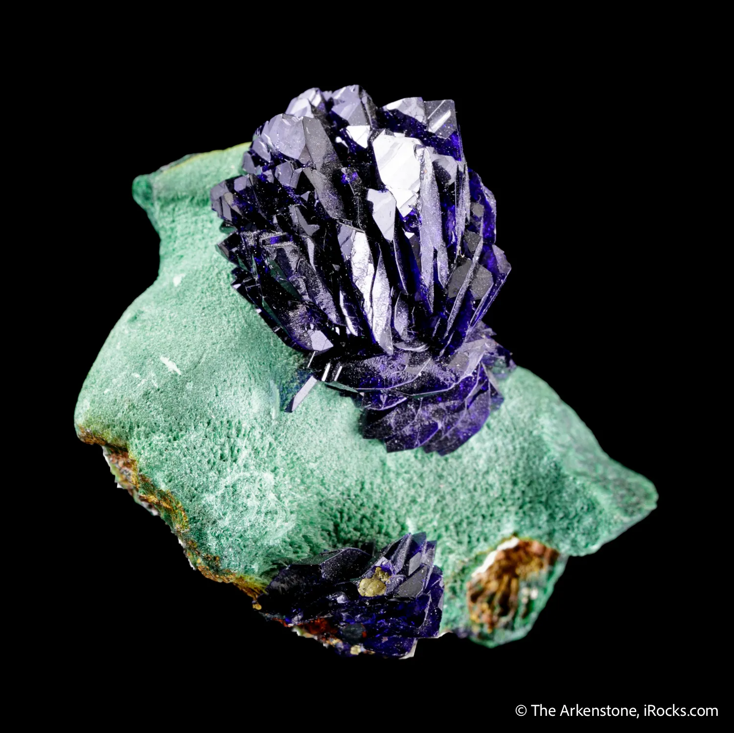Azurite "rose" on Malachite - image 1