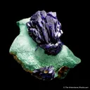 Azurite "rose" on Malachite - image 4