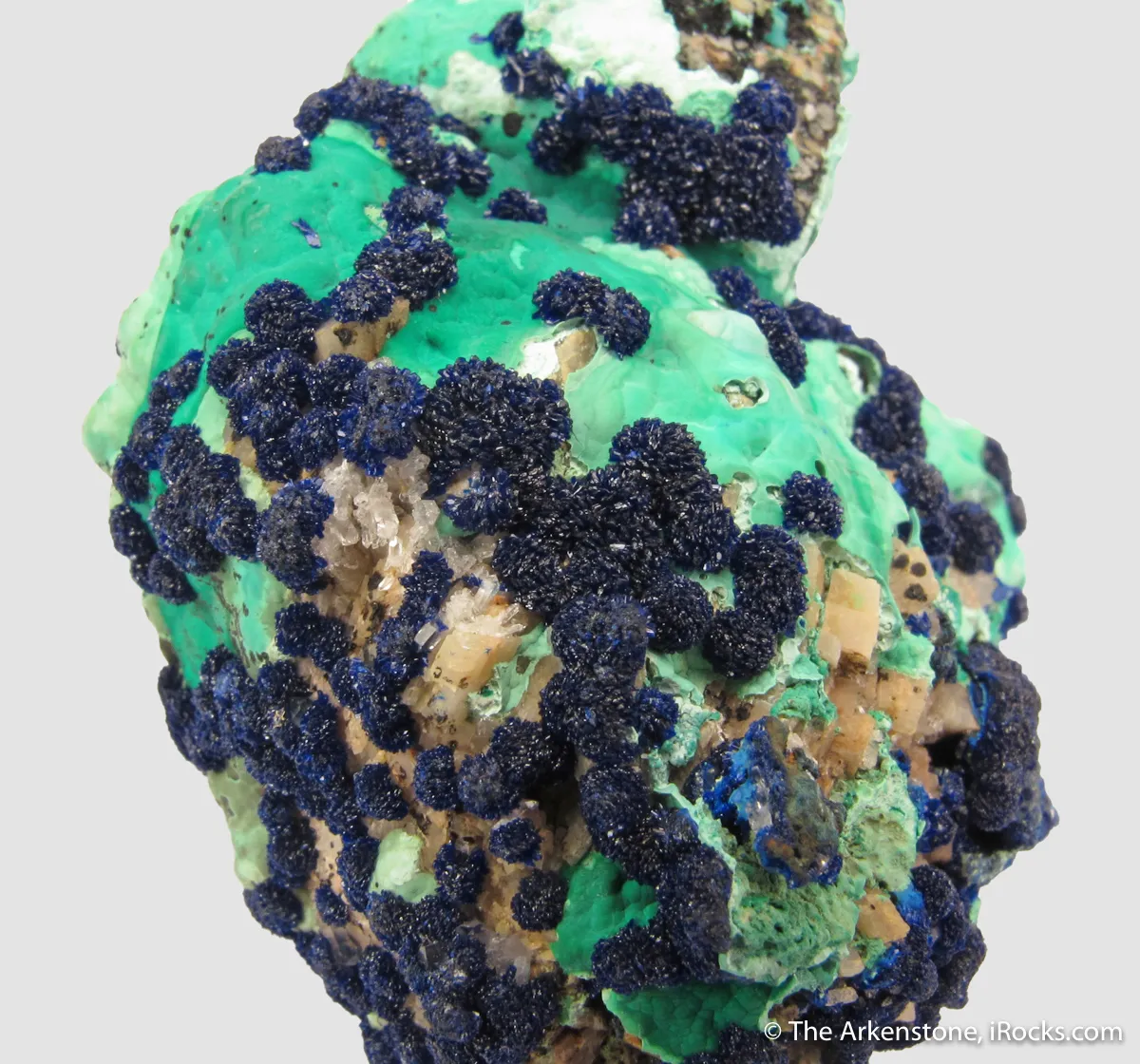 Azurite rosettes on Malachite - image 5