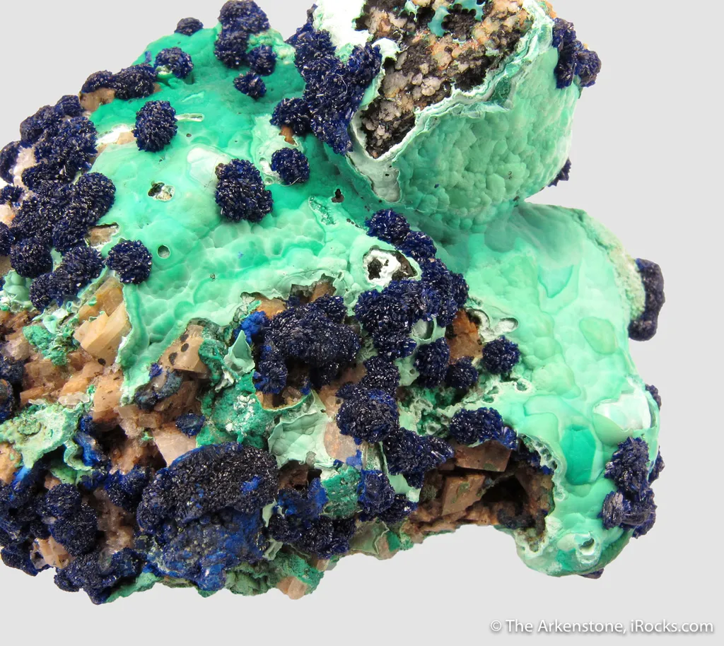 Azurite rosettes on Malachite - image 2