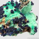 Azurite rosettes on Malachite - image 2