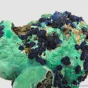 Azurite rosettes on Malachite - image 3
