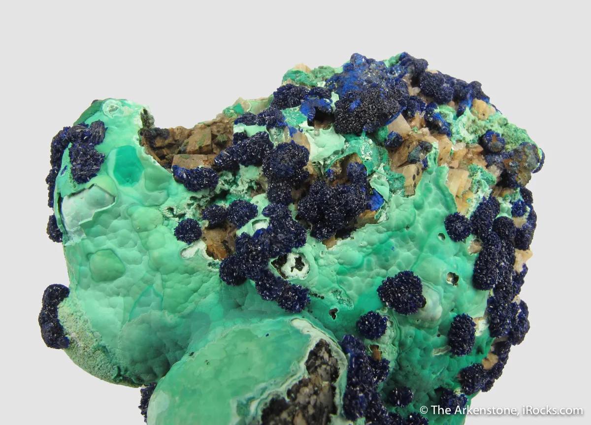 Azurite rosettes on Malachite - image 3