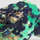 Azurite rosettes on Malachite - image 7