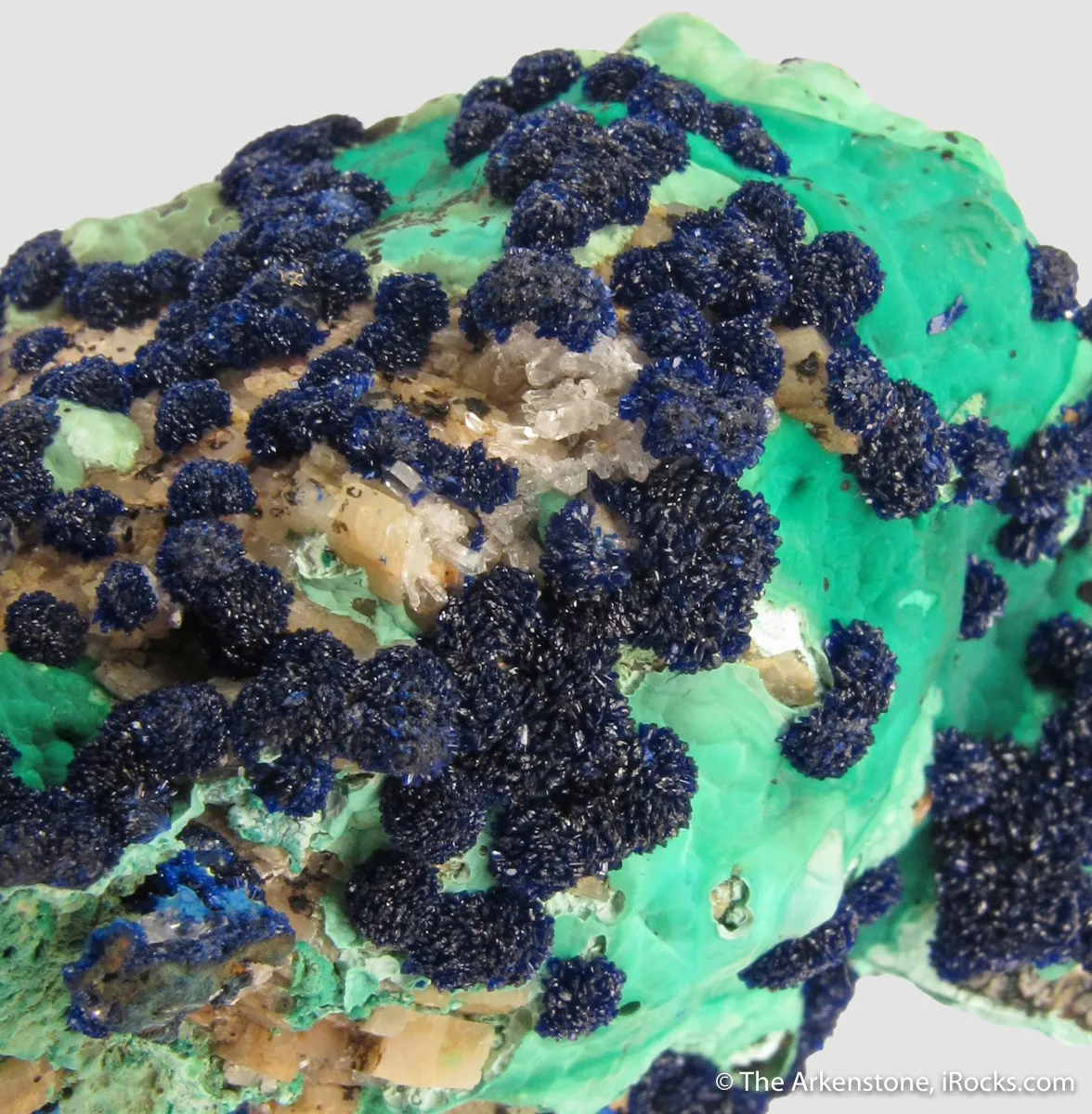Azurite rosettes on Malachite - image 7