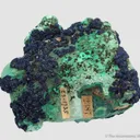Azurite rosettes on Malachite - image 4