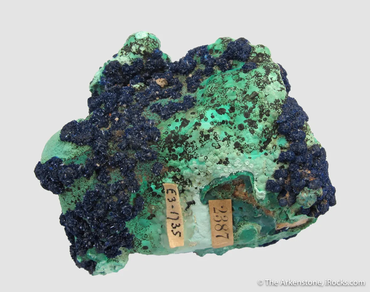 Azurite rosettes on Malachite - image 4