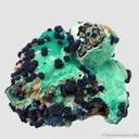 Azurite rosettes on Malachite - image 1