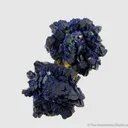 Azurite rosettes with Malachite - image 6