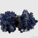 Azurite rosettes with Malachite - image 1
