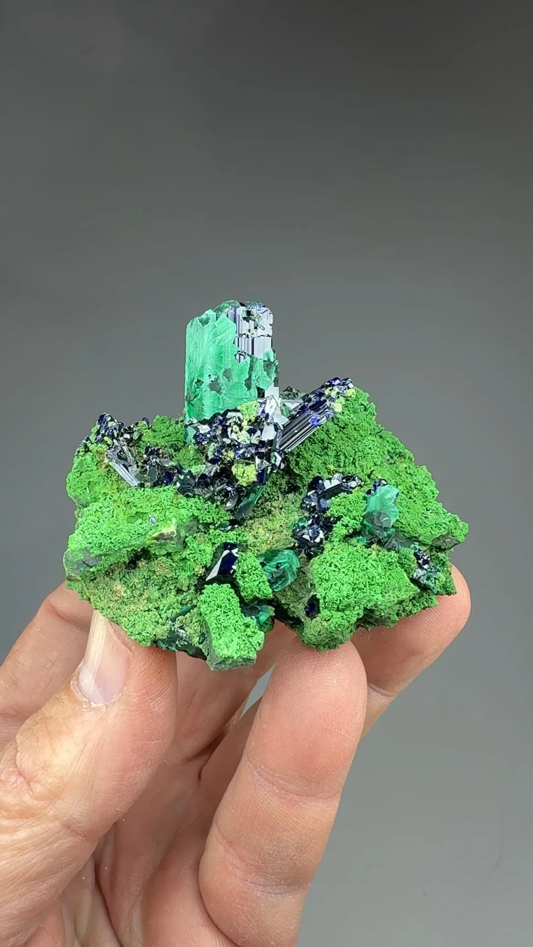Azurite with Bayldonite after Mimetite and Malachite - image 2