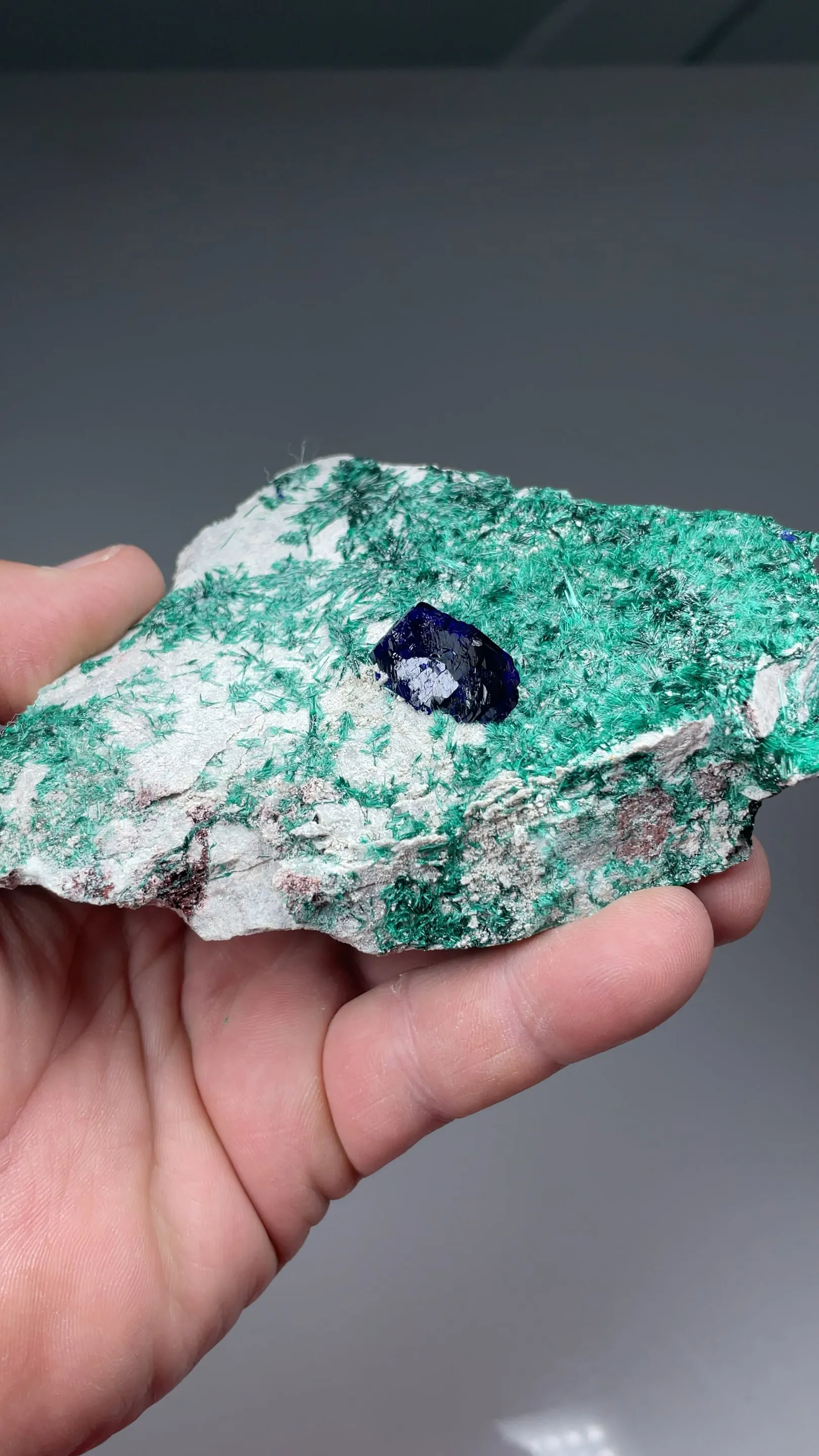 Azurite with Brochantite - image 2