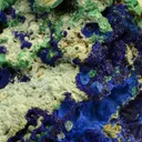 Azurite with Chalcoalumite and Malachite - image 3