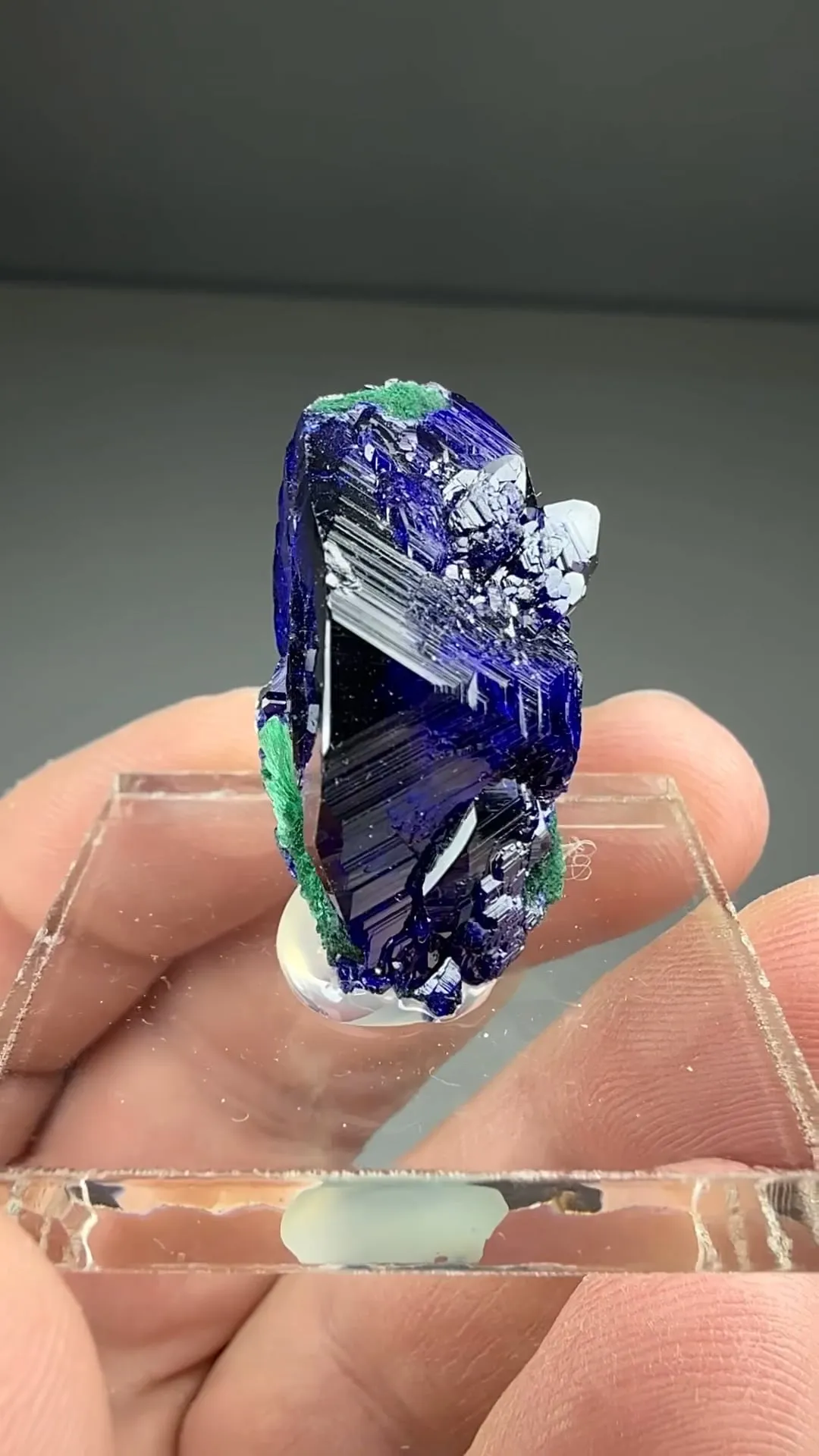 Azurite with Malachite (1595) - image 2