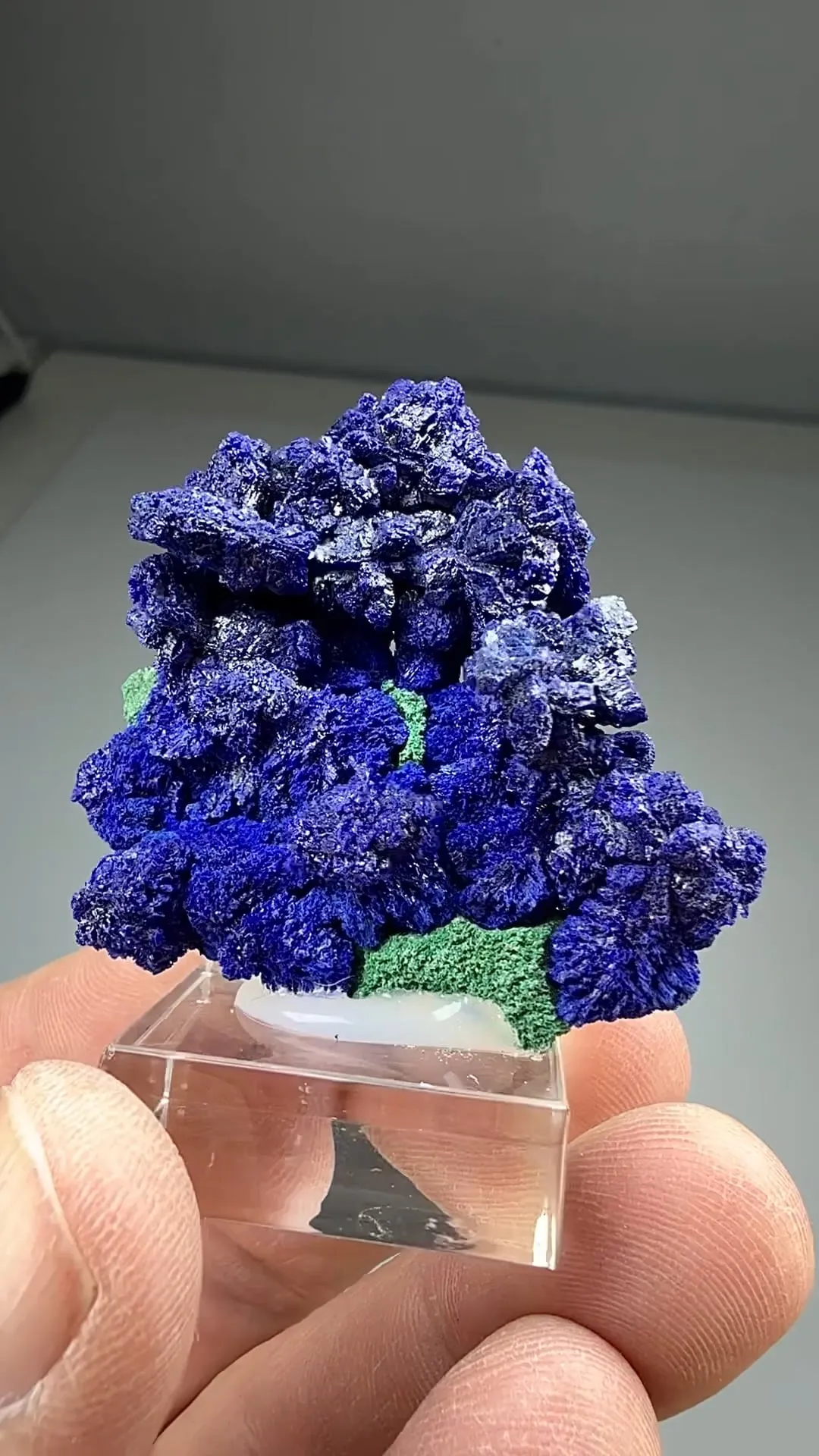 Azurite with Malachite (2376) - image 2