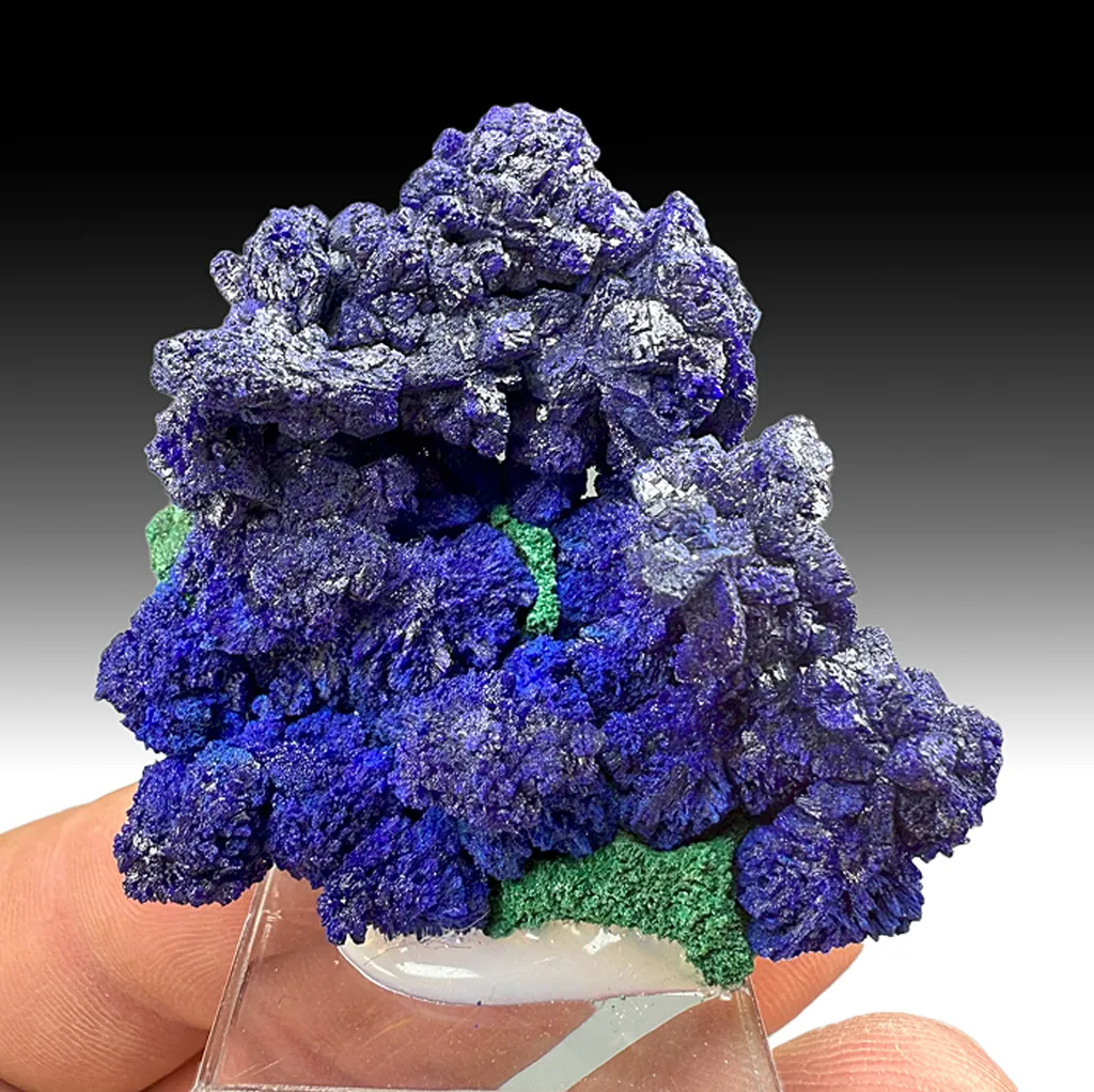 Azurite with Malachite (2376) image