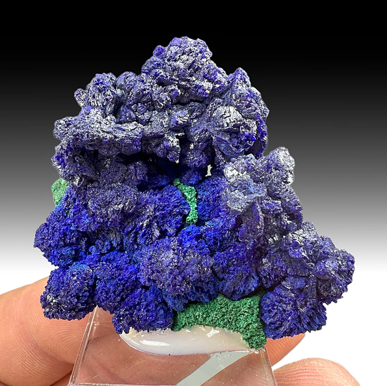 Azurite with Malachite (2376) - image 1
