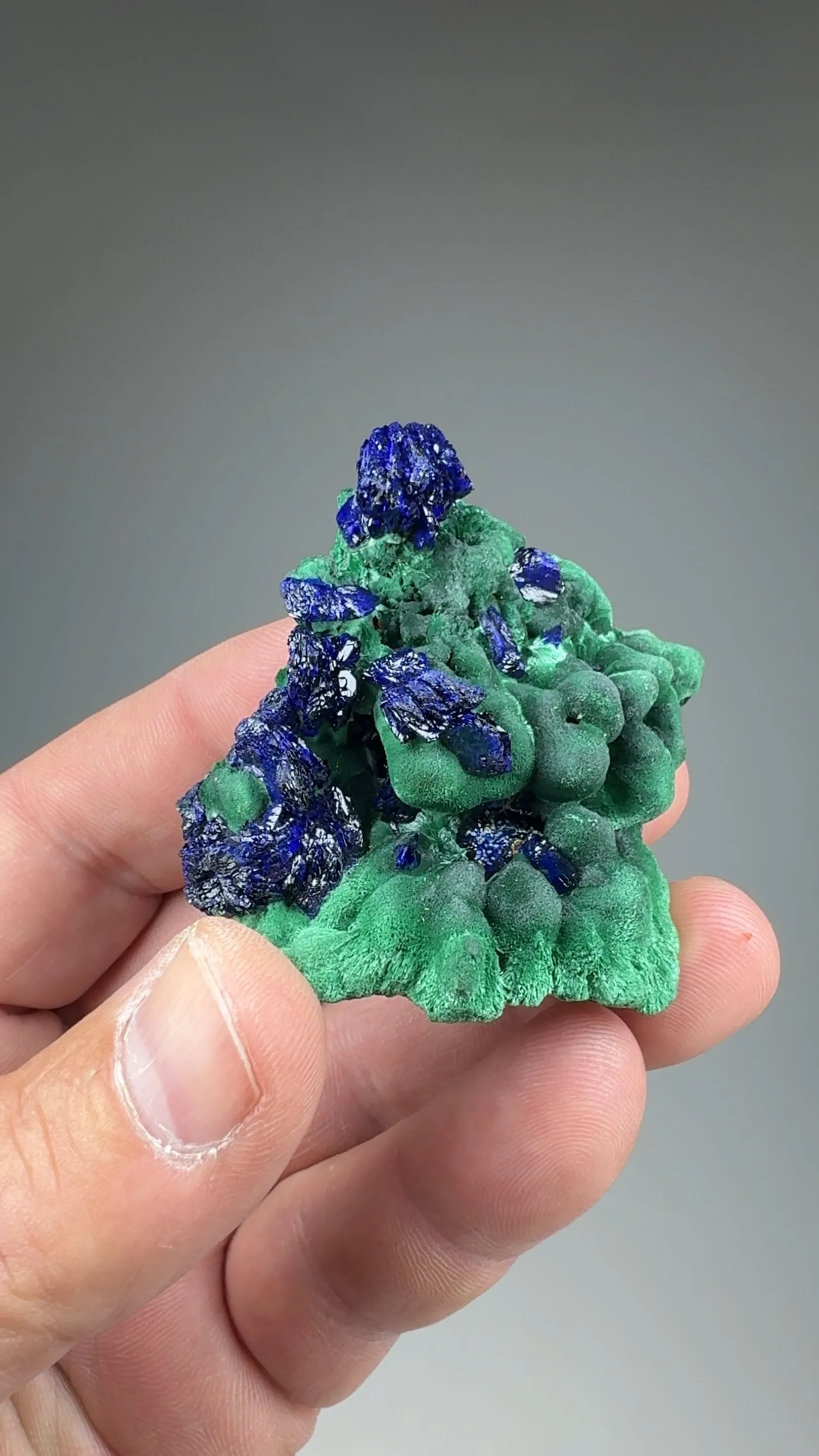 Azurite with Malachite - image 2
