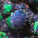 Azurite With Malachite - image 2