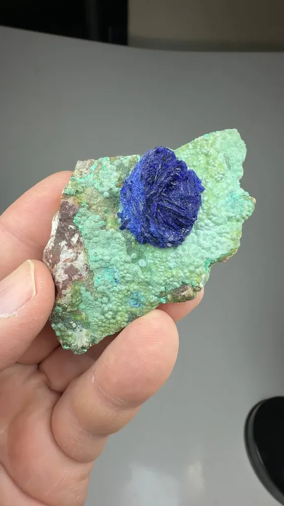 Azurite with Malachite image
