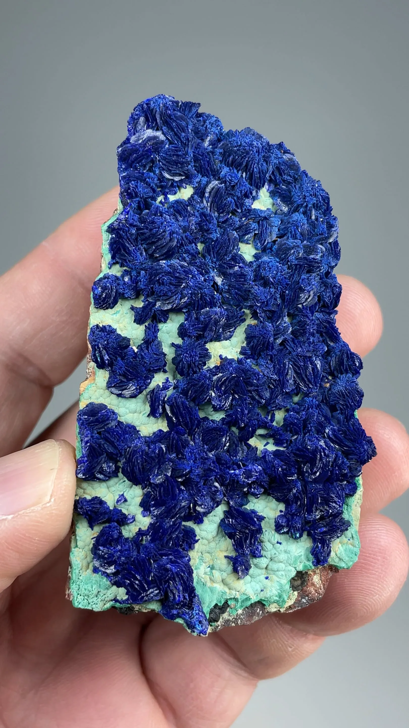 Azurite with Malachite - image 2