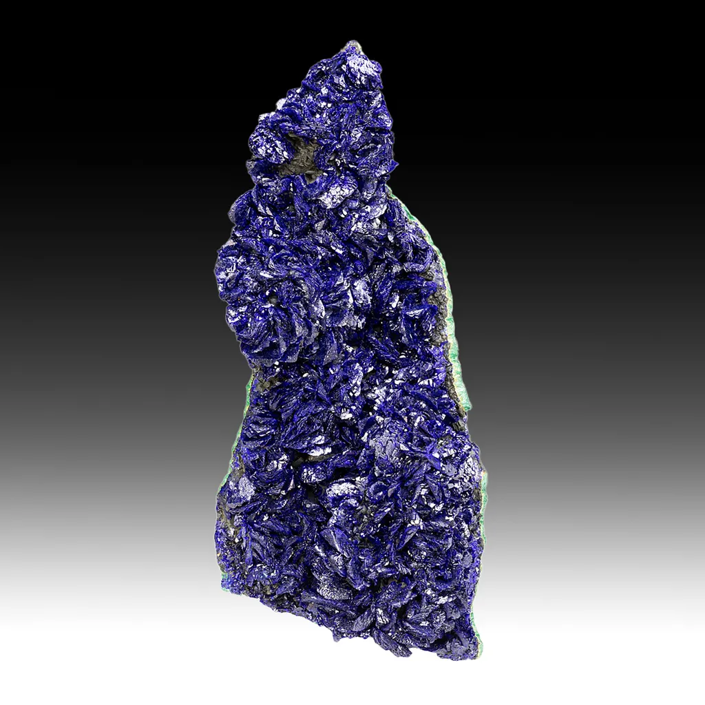 Azurite with Malachite image
