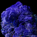Azurite with Malachite - image 5